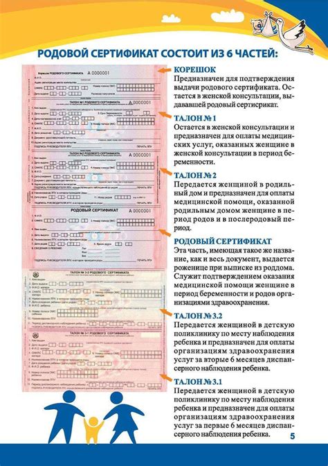 Родовой сертификат: ценный документ в жизни каждого человека