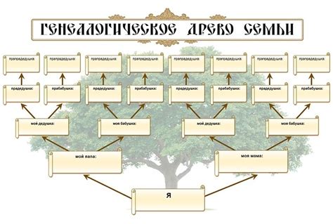 Родословная и происхождение термина