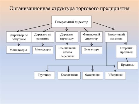 Розничная торговля с торговыми залами: типичная структура