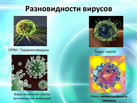 Роли вирусов и инфекций в медицине