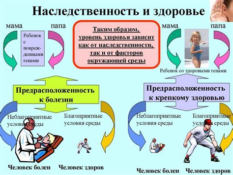 Роли генетики и окружающей среды в развитии аутоиммунной аллергии