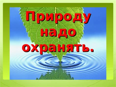 Роли государства и общества в охране природы