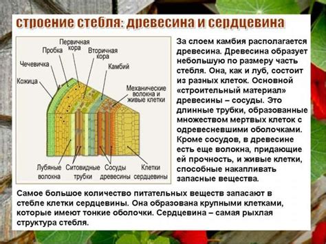 Роли и функции слоев