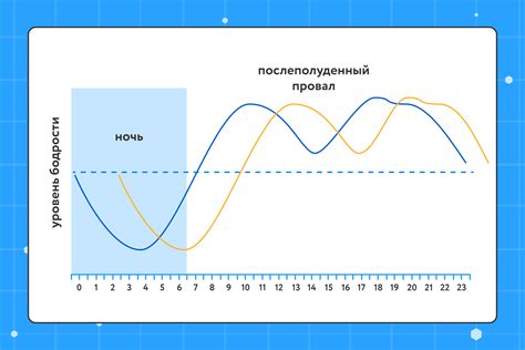 Роли и функции циркадных ритмов