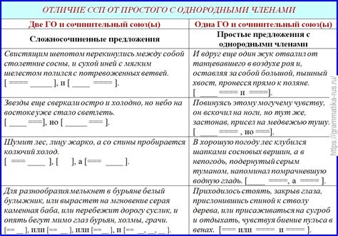 Роль ССП в структуре русского предложения