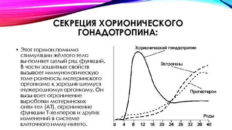 Роль Хорионического гонадотропина в беременности