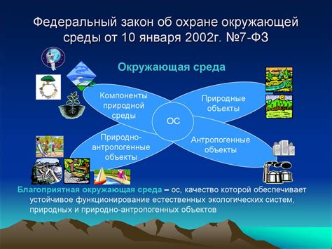 Роль абсорбирующих свойств в экологии и охране окружающей среды