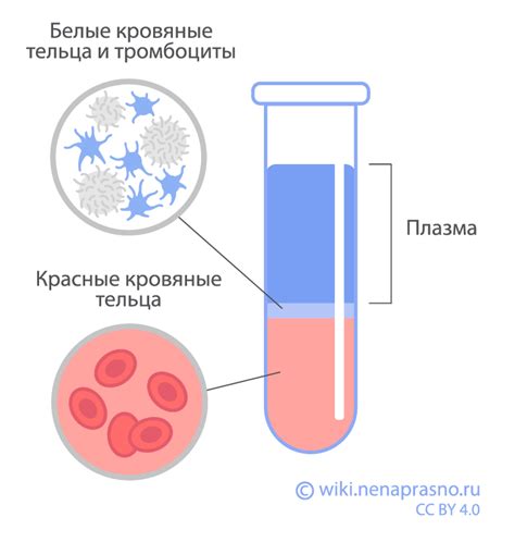 Роль анализов крови