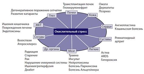 Роль антиоксидантов в организме