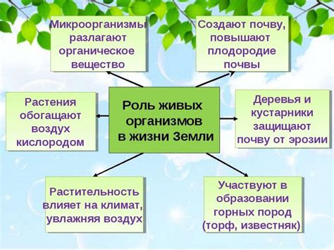 Роль биологии в понимании природы жизни