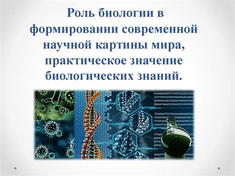 Роль биологических потребностей в формировании культуры