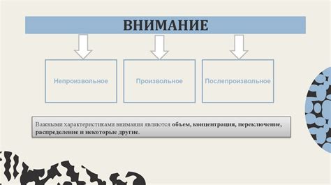 Роль вербального воздействия в коммуникации