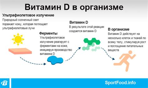 Роль витамина Д в организме ребенка: зачем нужен и как обеспечить достаточное количество