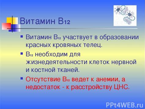 Роль витаминов В12 в образовании красных кровяных клеток