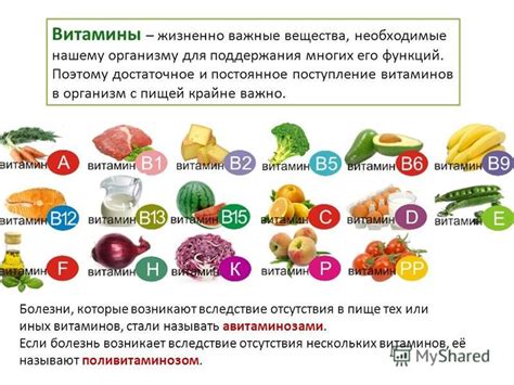 Роль витаминов Ундевит в организме человека