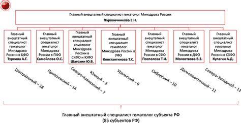 Роль внештатного специалиста Минздрава