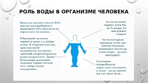 Роль воды в поддержании здоровья: ключевой фактор для хорошего самочувствия