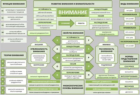 Роль второго внимания в жизни человека