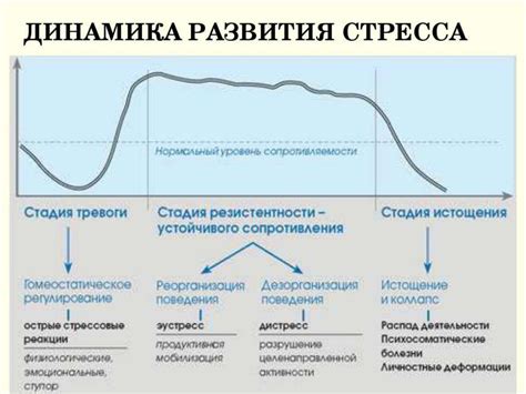 Роль в реакции на стресс