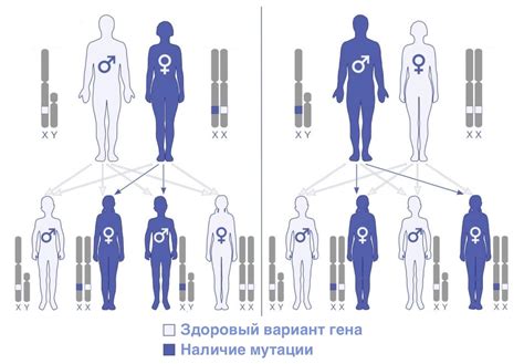 Роль гена, отвечающего за восприятие боли