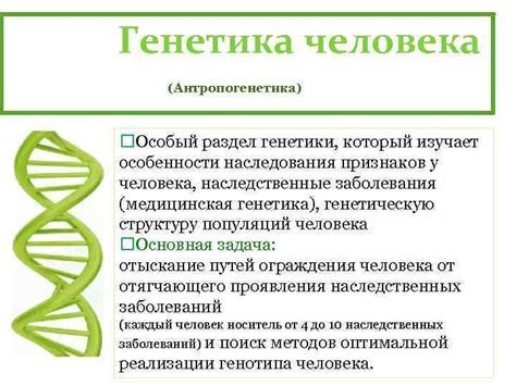 Роль генетики в медицине и науке: возможности диагностики и лечения