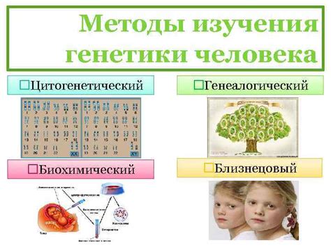 Роль генетики в создании нового человека