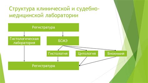 Роль гистологических анализов в диагностике