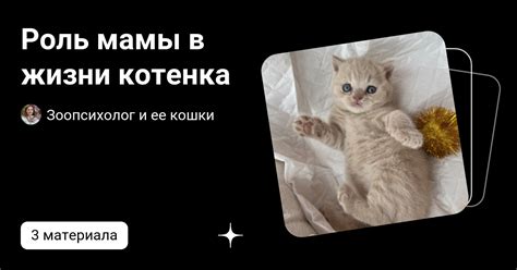 Роль глаз в жизни котенка