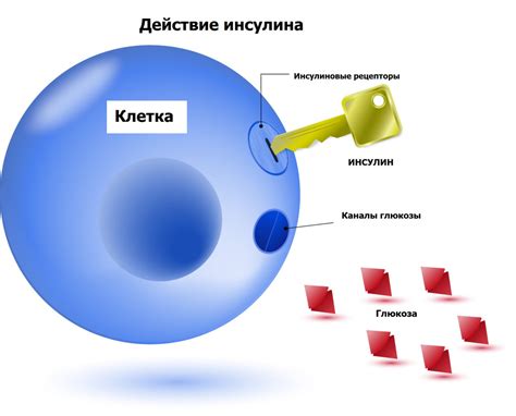 Роль глюкозы в крови