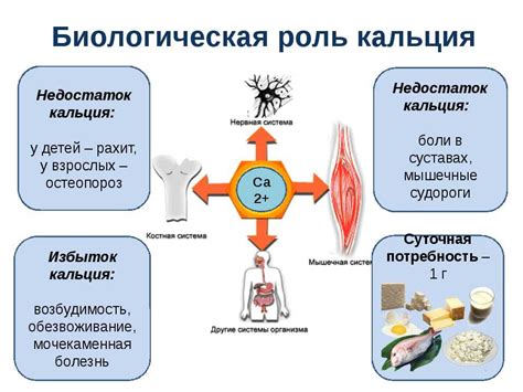 Роль глюконата кальция в организме