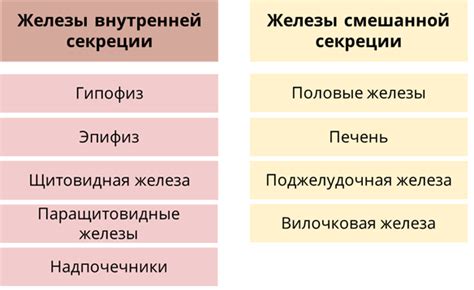 Роль гормона простагландин в организме: основные функции и влияние