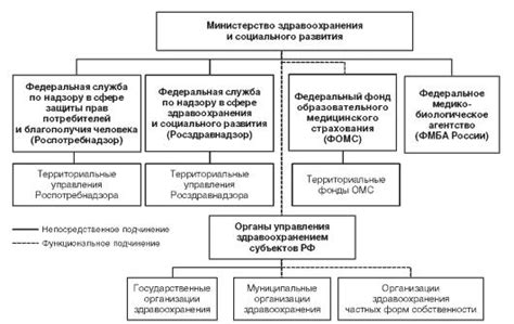 Роль группы здоровья 2 в системе здравоохранения: соответствие и значимость