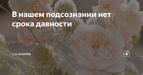 Роль грязи в нашем подсознании: что она отражает о нашей психике?