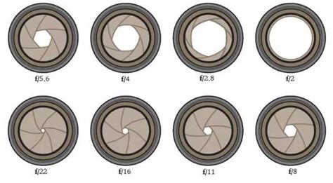 Роль диафрагмы в фотографии
