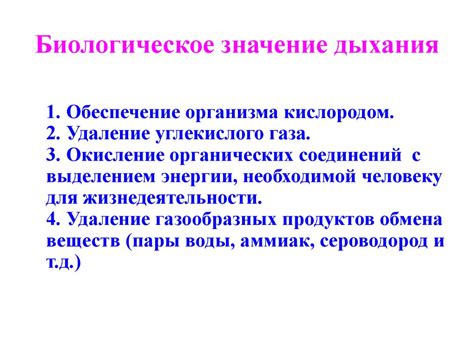 Роль дыхания в организме: какое влияние оказывает перехватывание дыхания?