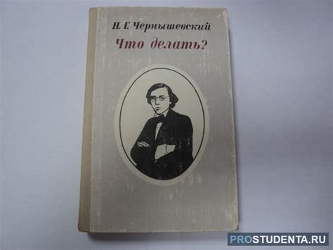 Роль и анализ главного героя романа "Что делать?" Чернышевского