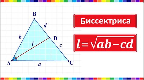 Роль и значение биссектрисы в геометрии