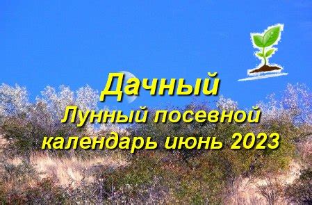 Роль и значение снов о совместном садоводстве со старшими поколениями