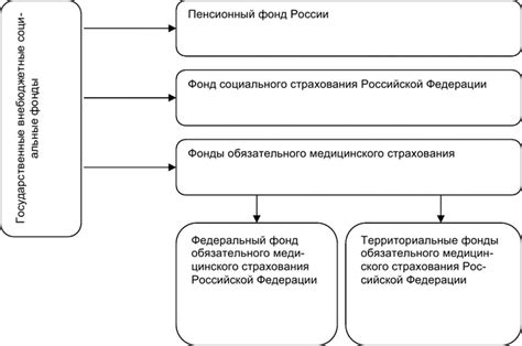 Роль и функционирование государственных внебюджетных фондов