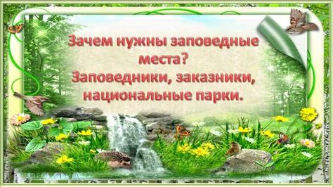 Роль квадрата моря в сохранении природы и биоразнообразия