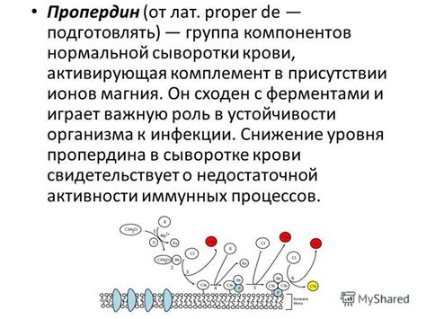 Роль компонентов сыворотки