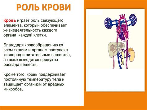 Роль крови как загадочного предзнаменования или знакомого символа