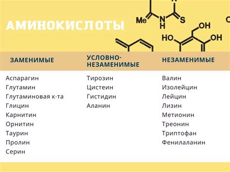 Роль лимитирующей аминокислоты в организме