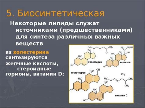 Роль липидов высокой плотности в организме