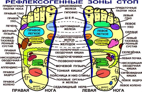 Роль массажа ступней во сне как символическое выражение пути к решению проблем и достижению гармонии