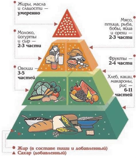 Роль медицины в сохранении здоровья человека