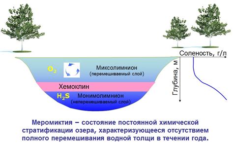 Роль меромиктического озера в экосистеме