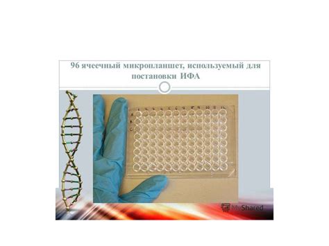 Роль метода ИФА в диагностике инфекционных заболеваний