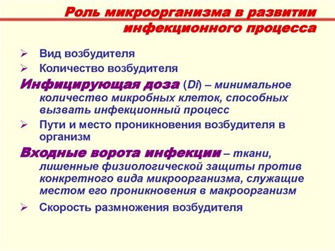 Роль микроорганизма Klebsiella: изучение и значимость