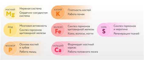 Роль микроэлементов в организме